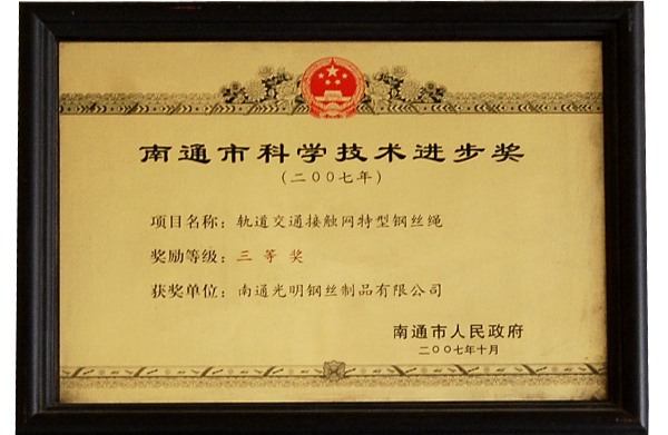 Nantong Science and Technology Progress Award 